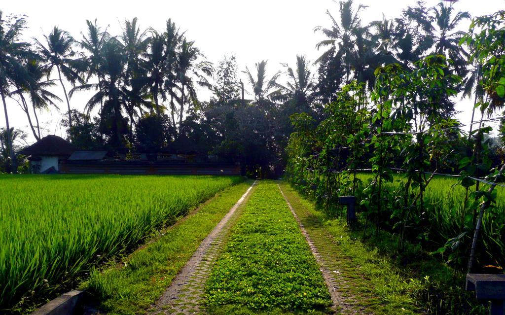 Villa Viola Ubud Exterior foto